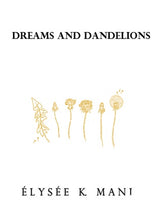 Load image into Gallery viewer, DREAMS AND DANDELIONS
